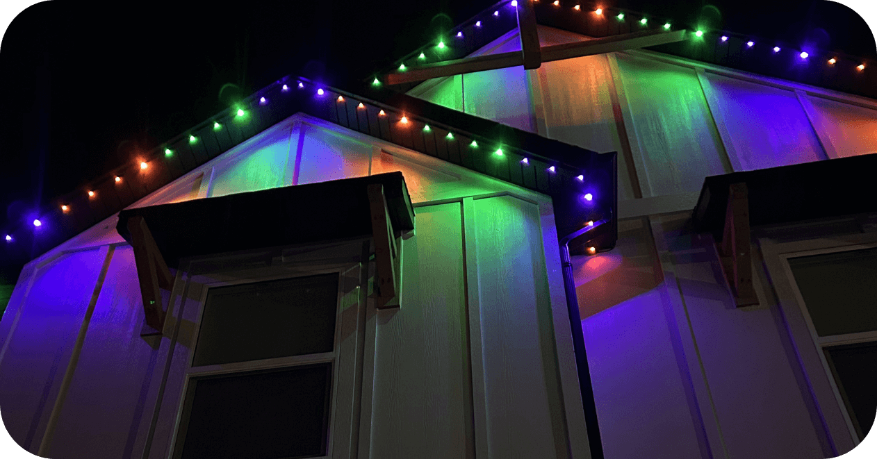Purple, orange, and green holiday lighting